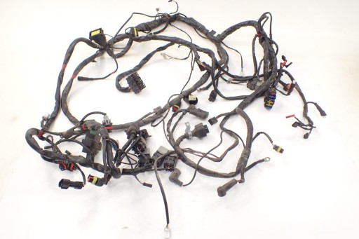 129749 - Gilera Fuoco 500 монтажний джгут