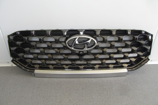 86352-S1610 - HYUNDAI SANTA FE IV TM LIFT 20- решітка