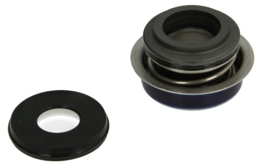 WMS-905 - комплект для ремонту насоса Cagiva Raptor 650 01-08