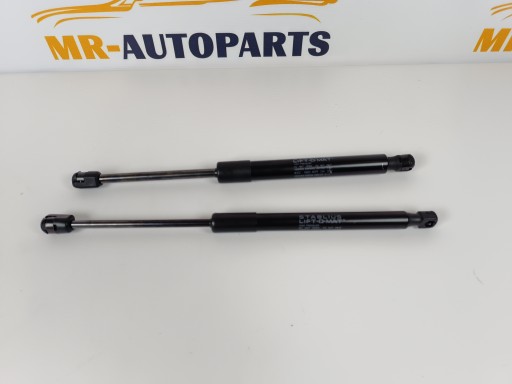 ТЕСЛА МОДЕЛЬ 3 АМОРТИЗАТОР КРИШКИ КАПОТА ЛІВИЙ І ПРАВИЙ 1091472-00-B