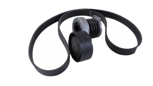 117207020R - КОМПЛЕКТ БІЛЬШОГО РЕМЕНЯ. RENAULT CLIO II/ ORG REN