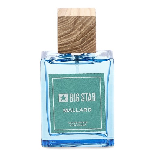Dámska Parfumovaná voda Big Star Parfém Pre ňu