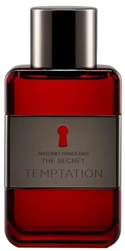 antonio banderas her secret temptation