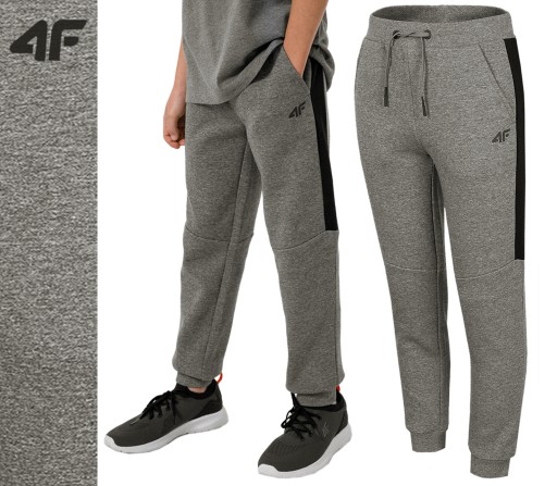 Спортивні штани 4F 158 сірі