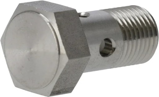 01184020 - Порожнистий гвинт