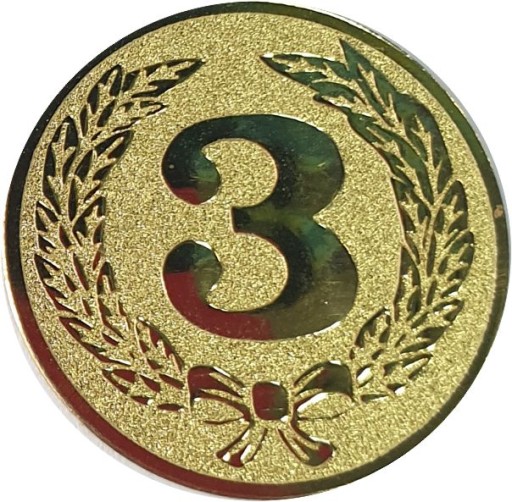 ЗОЛОТА ЕМБЛЕМА СТИК ТРЕТЄ МІСЦЕ A39
