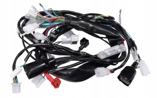 MOR.19.650 - Электропроводка для мопеда Fighter 1