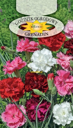 Semená Záhradný karafiát Grenadin 0,5 g Roltico