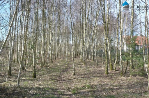 Działka, Krężna, 680 m²