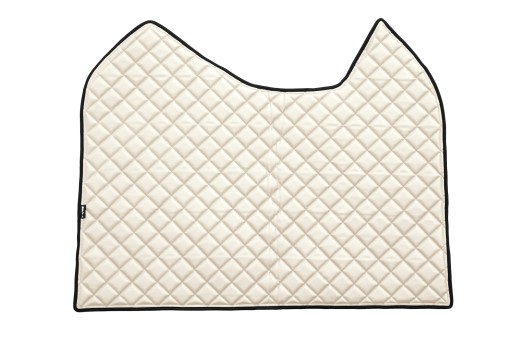 Килимок TIR MERCEDES ACTROS MP4