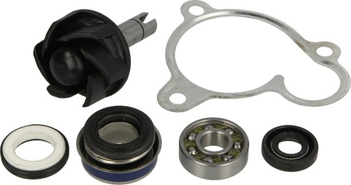 10 011 - РЕМКОМПЛЕКТ ВОДЯНОГО НАСОСУ/МОТОЦИКЛ/