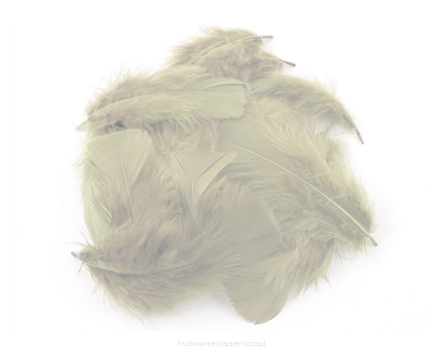 СІРЕ ПІР'Я 8G ПАУЛА