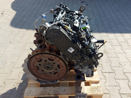 VW AMAROK II 2024r engine complete egine 3.0 TDI 240KM, BF2X DXWB