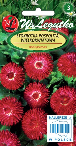 Sedmokráska veľkokvetá Gracia 0,1g červená