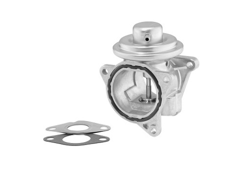 КЛАПАН ЕГР BORGWARNER WAHLER 7496D изображение 1