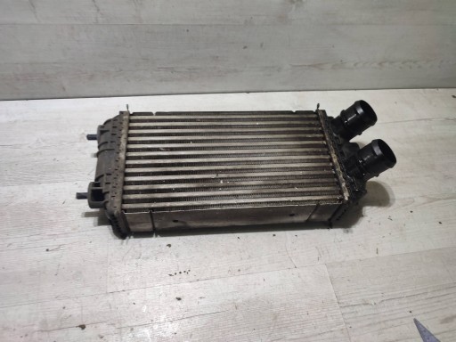 Peugeot 2008 II 2020 Radiatore / Raffreddatore Dell’aria dell’aria / radiatore intercooler