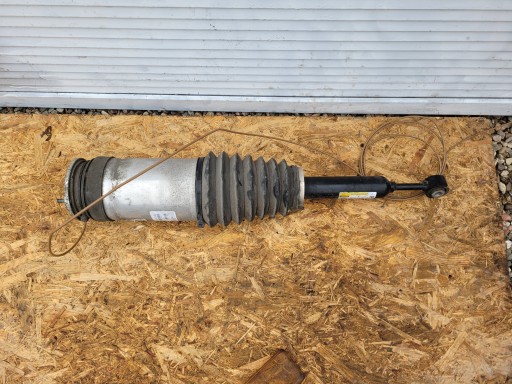 Stoßdämpfer PNEUMATYCZNY heck TESLA X 1027461-00-E