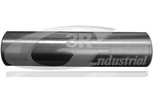 45225 - 3RG ЦАПФА ОСІ 30,7 ? 50 л 200