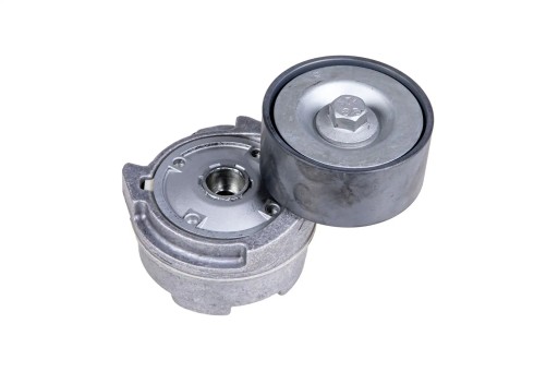 DAYAPV1055 Натягувач ременя