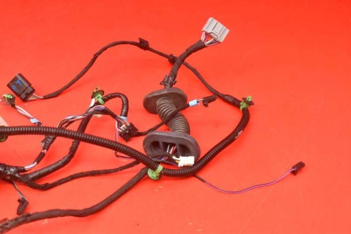 bundle door left rear part 1004425-00-V TESLA MODEL S LIFT 16-21
