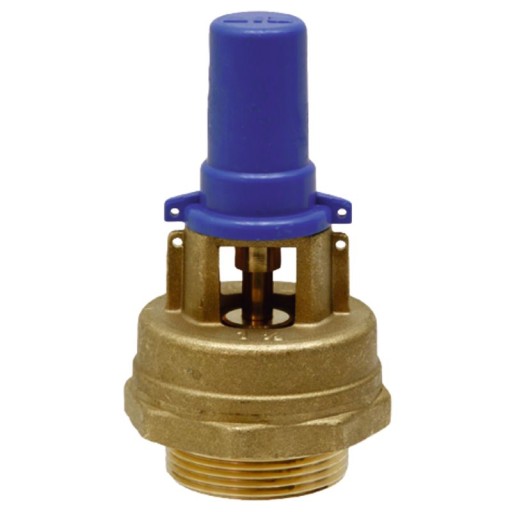 405290000009 - Клапан-обмежувач вакууму 69mm RIV