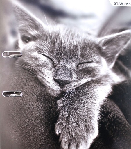 Біндер Starpak А4