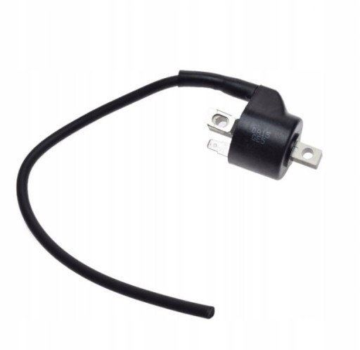 MSRCR9416.100507 - КАТУШКА ЗАЖИГАНИЯ ДЛЯ TGB