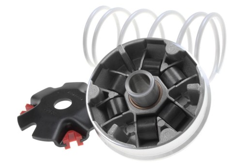 M5113139 - Варіатор Malossi, GY6 50 4T 139QMB 139qma Romet