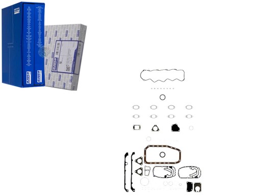 51014200 - ПОВНИЙ КОМПЛЕКТ ПРОКЛАДОК ДВИГУНА RVI MASCOTT FIA