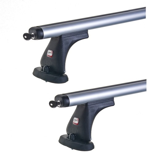 Багажник на дах Amos Renault AVANTIME