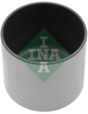 421 0010 - КЛАПАНА TUSTER CITROEN