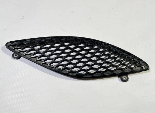 intake air grid bonnets right Dodge Charger SRT 2015+