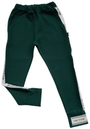 Зелені спортивні штани GAMET 152