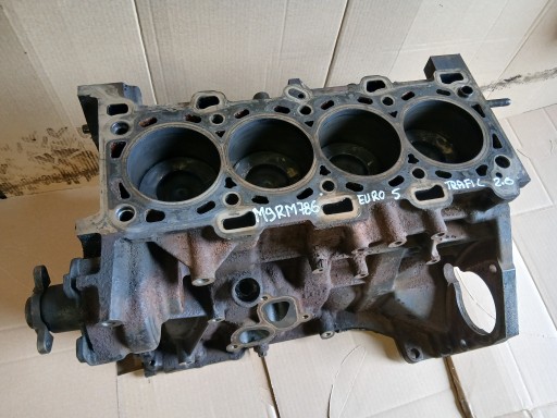 RENAULT TRAFIC OPEL VIVARO 2.0 DCI M9R M9RM786 BLOK DOL of the engine pistons crank