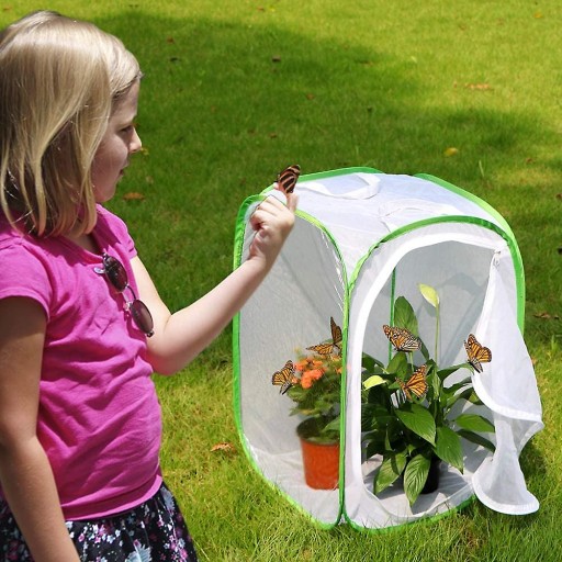 for Nature Observation with A Mini Habitat Cage Rngeo Insect and Butterfly Habitat Cage etc Butterflies and Insects Raising Terrarium with Pop-up Design Pack of 2 24 Inches Tall 