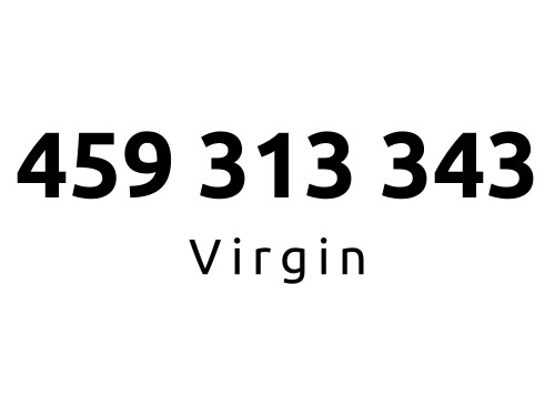 459-313-343 | Starter Virgin (31 33 43) #C