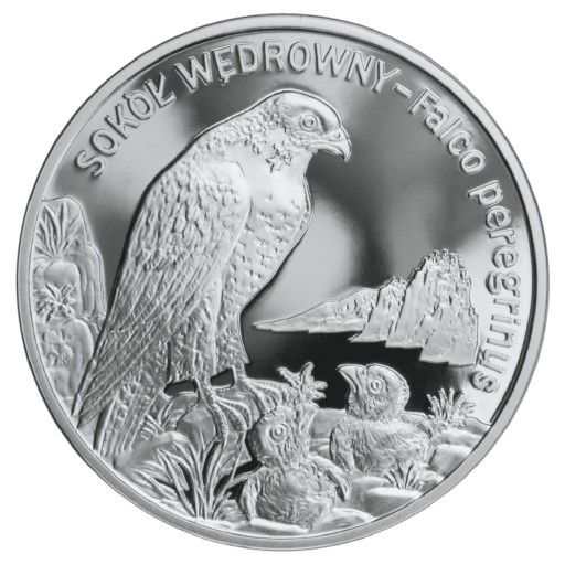 Moneta 20 zł Sokół wędrowny 2008