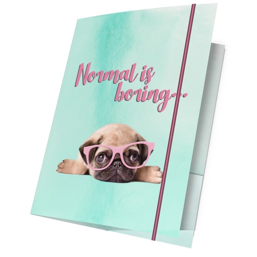 Папка на гумці А4 Paso