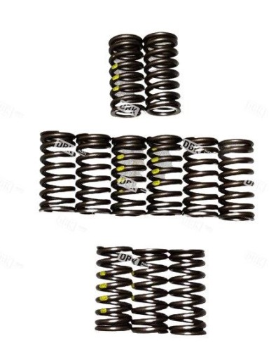 Пружина клапана DAF 1813104