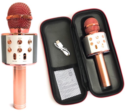 БЕЗДРОТОВИЙ МІКРОФОН КАРАОКЕ BLUETOOTH МОДУЛЯЦІЯ