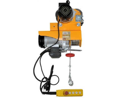 ЛЕБЕДКА С ЭЛЕКТРИЧЕСКИМ МОСТОВЫМ КРАНОМ 600 КГ