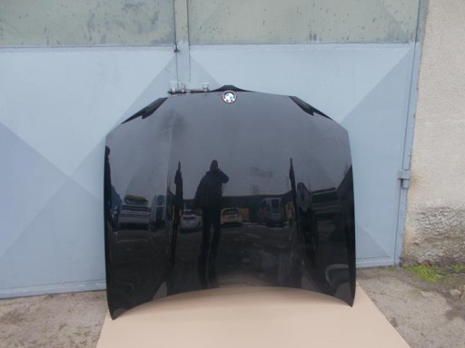 3456780987654345678 - Капот bmw x3 g01 x4 g02