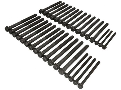 259.561 - Комплект болтов ГБЦ (33 шт.) подходит для: DAF CF, CF 85, XF 10.