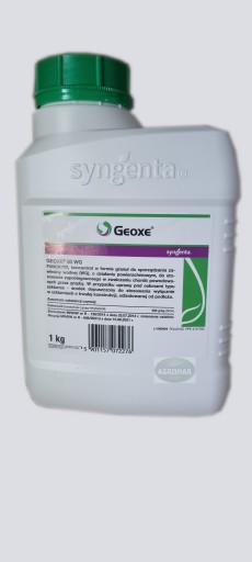 Geoxe top