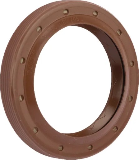 X550081705000 - Тюлень