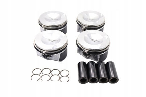 Комплект поршней Borsehung B18741