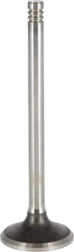 04290025 - Випускний клапан