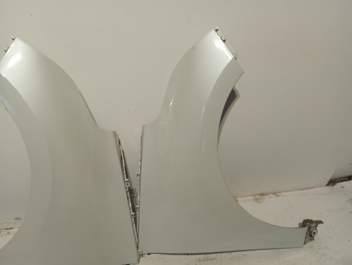 fender left RENAULT SCENIC IV