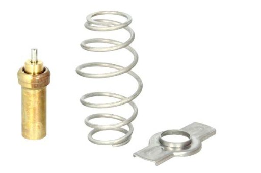 D2IV006TT/THE - THERMOTEC ТЕРМОСТАТ ОХЛАЖДАЮЩЕЙ ЖИДКОСТИ (79C, КОМПЛЕКТ