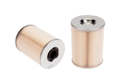 600005058 топливный фильтр двигателя Faresin